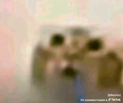 IMG_1123.jpeg