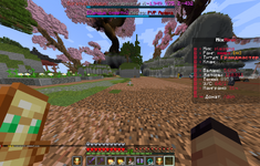 Minecraft Screenshot 2026.06.10 - 01.34.21.26.png